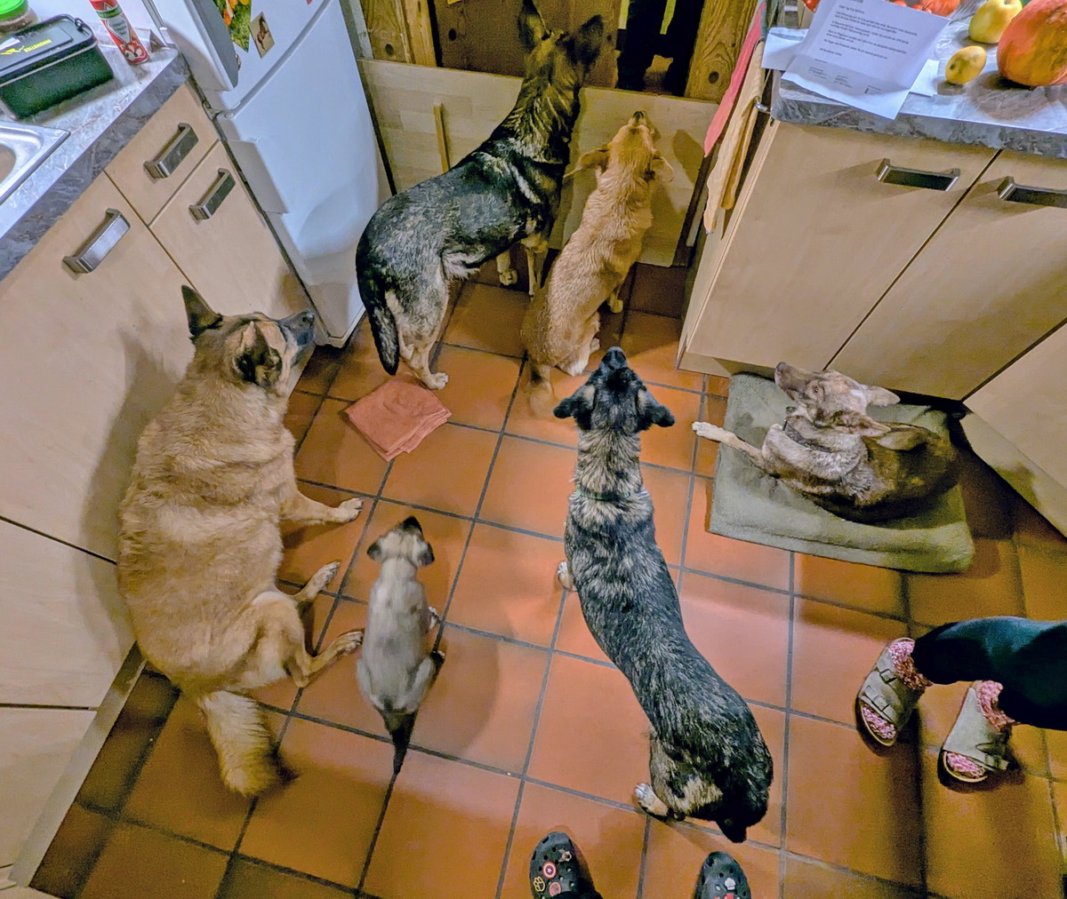 2024-12-08_19-26-20_sivo