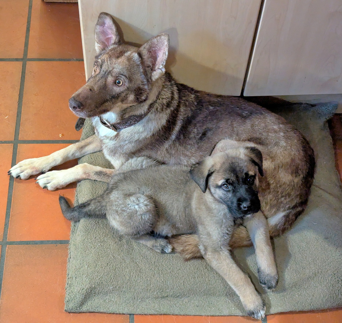 2024-12-14_14-44-08_sivo