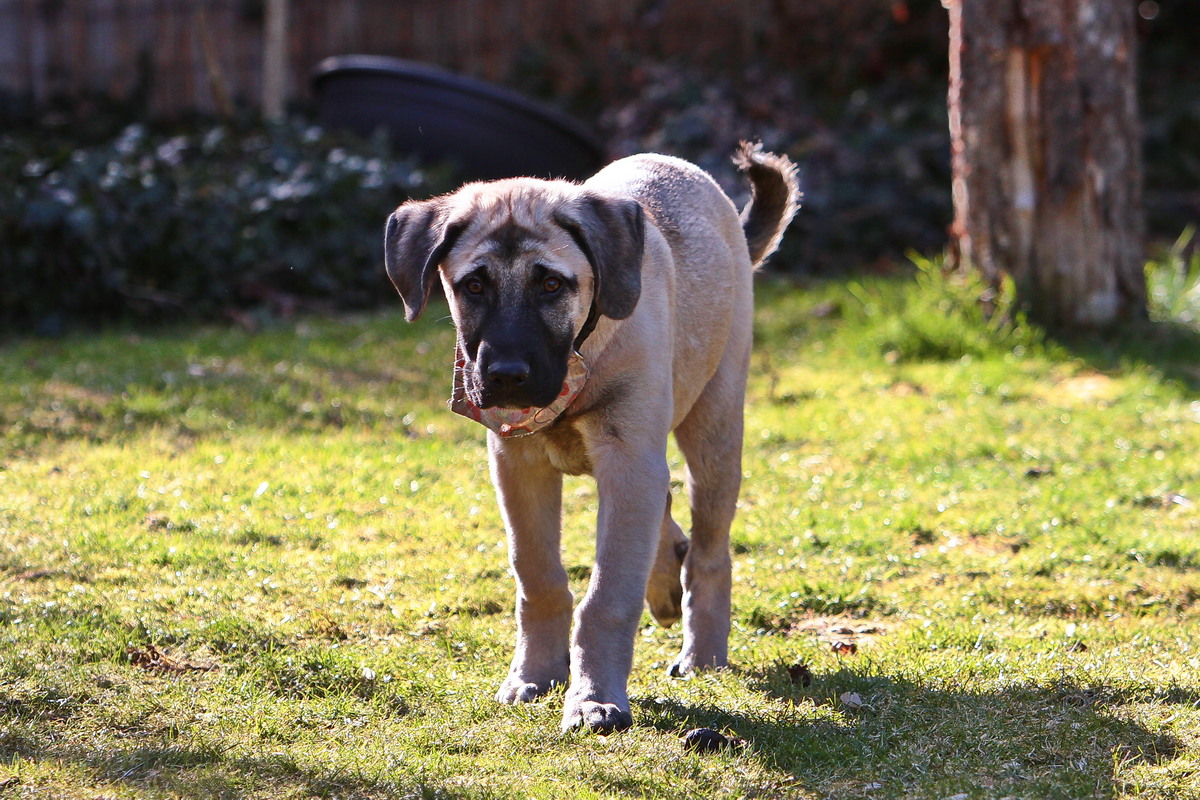 2025-02-15_14-29-53_sivo