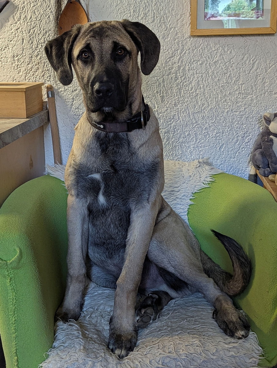 2025-04-07_11-29-03_sivo