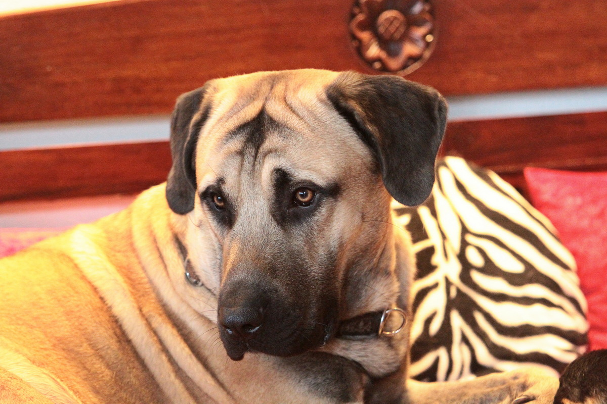 2026-01-24_13-49-42_sivo